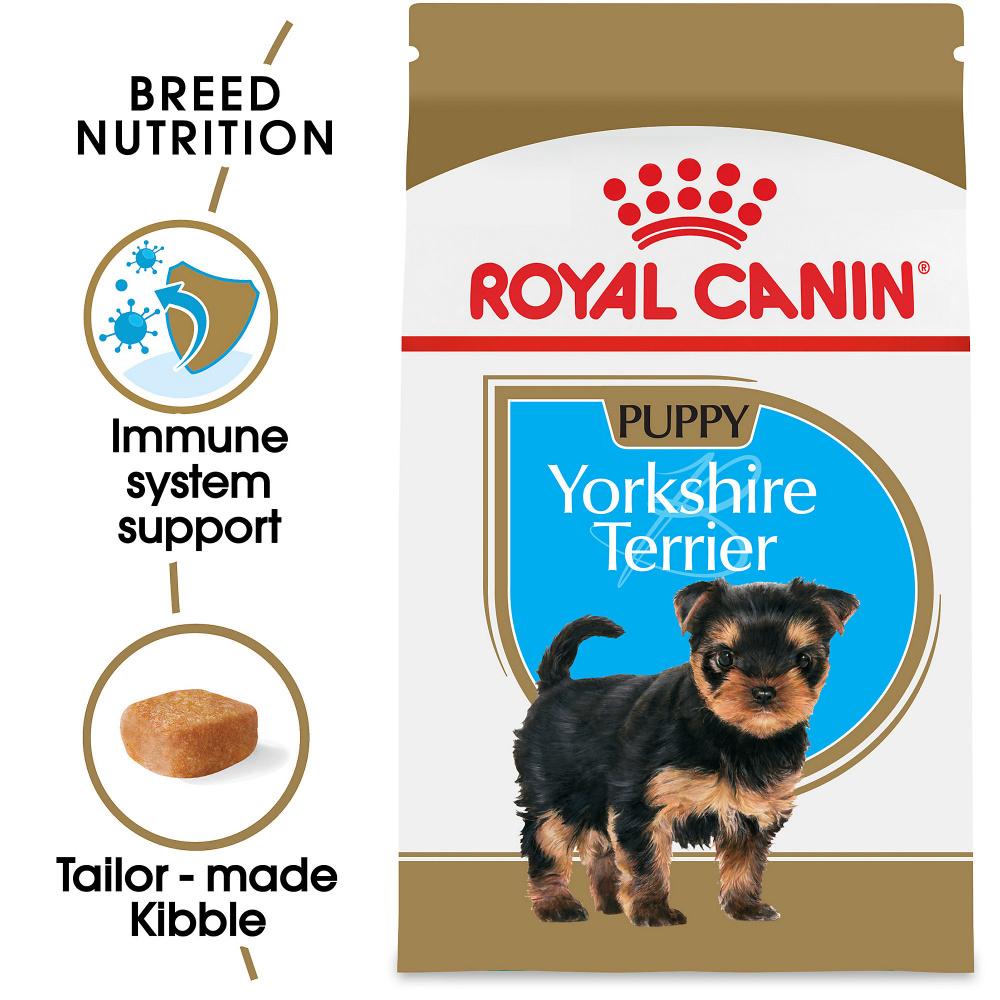 Dry food fashion for yorkie puppy