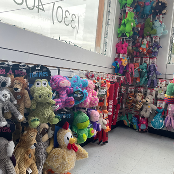 Inside of Barkly and Meows