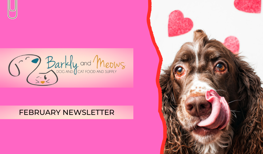 February Newsletter