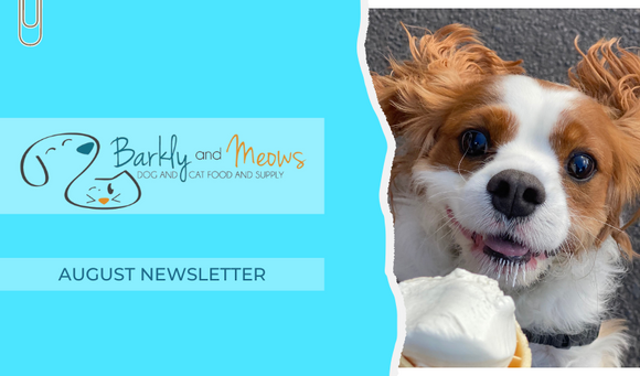 August Newsletter - Barkly & Meows Logo - A dog with white and burnt sienna fur is eating vanilla ice cream.
