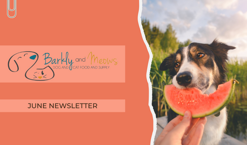 June '25 Newsletter