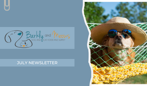 July '25 Newsletter