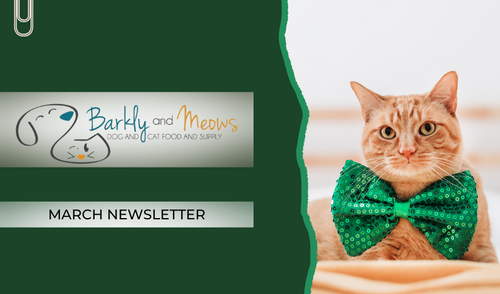 March Newsletter