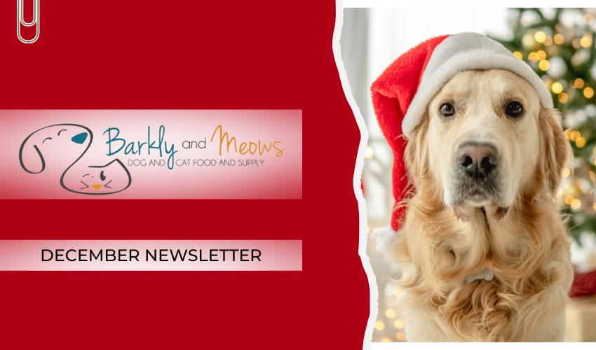 December Newsletter