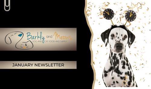 January '25 Newsletter