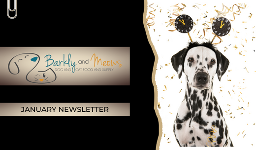 January Newsletter