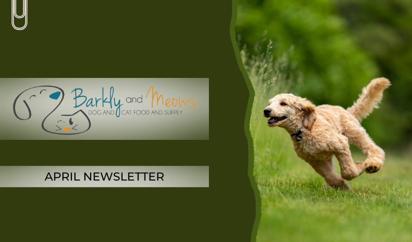 April Newsletter