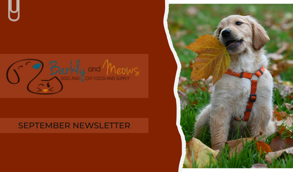 September '25 Newsletter
