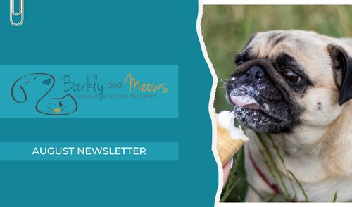 August '25 Newsletter