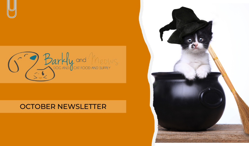 October '25 Newsletter