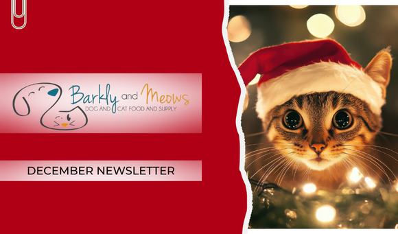 December '25 Newsletter