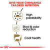 Royal Canin Breed Health Nutrition Chihuahua Adult Dry Dog Food