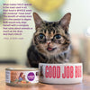 Halo Sensitive Stomach Holistic Seafood Medley Dry Cat Food