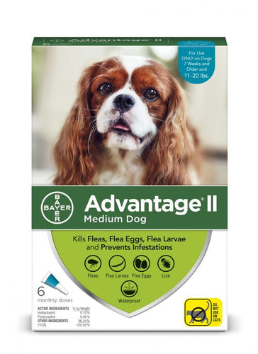 Bayer Advantage II Medium Dog