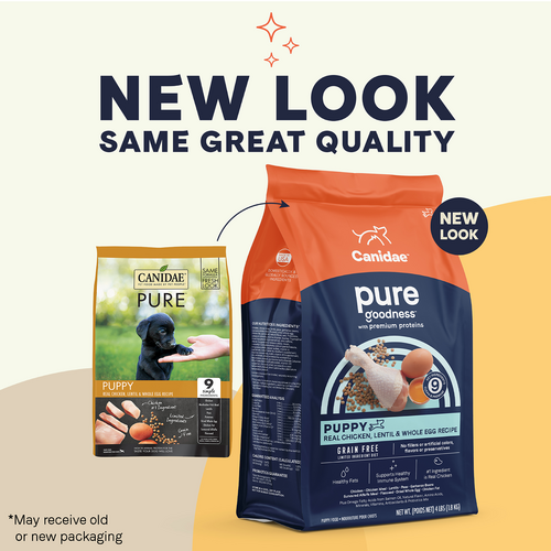 Canidae PURE Grain Free, Limited Ingredient Dry Puppy Food, Chicken, Lentil and Whole Egg (24-lb)