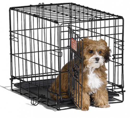 Midwest iCrate Single Door Folding Dog Crate