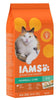 Iams ProActive Health Hairball Care Recipe Dry Cat Food