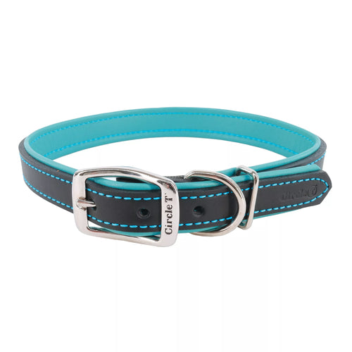 Coastal Pet Circle T Layered Fashion Leather Dog Collar