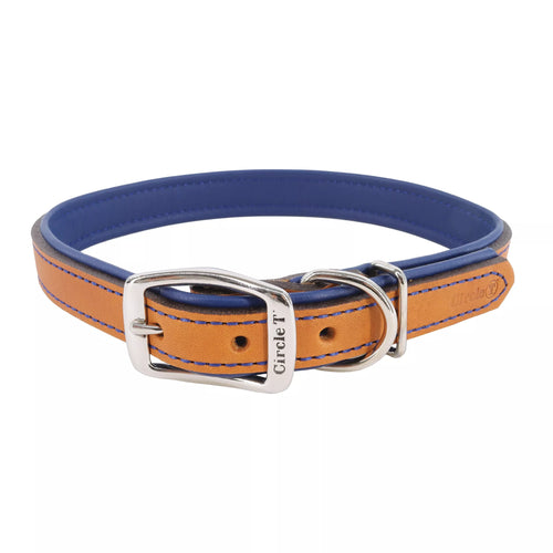 Coastal Pet Circle T Layered Fashion Leather Dog Collar