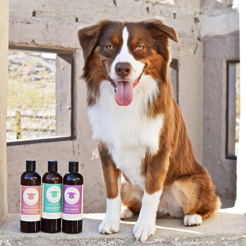 Kin + Kind Kin Organics Calming Rose Dog Shampoo