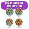 Weruva BFF PLAY Paté Beef & Tuna Ta Da! Dinner in a Hydrating Purée Cat Food