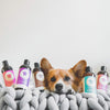 Kin + Kind Kin Organics Calming Rose Dog Shampoo