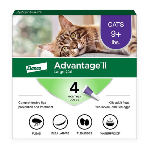 Advantage II Large Cat Flea Treatment & Prevention (2 Count)