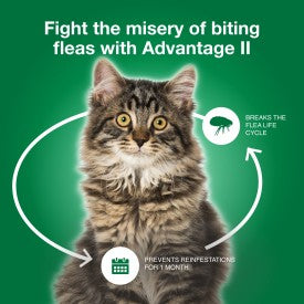 Advantage II Large Cat Flea Treatment & Prevention (2 Count)