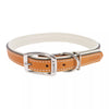 Coastal Pet Circle T Layered Fashion Leather Dog Collar