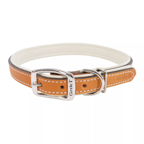 Coastal Pet Circle T Layered Fashion Leather Dog Collar