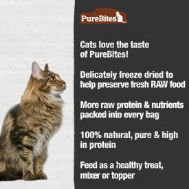 PureBites Turkey Freeze Dried Cat Treats