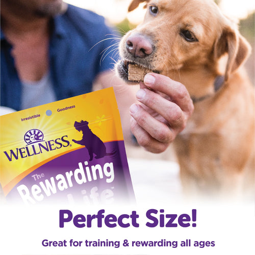 Wellness® Rewarding Life Soft & Chewy Natural Dog Treats