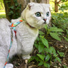 Coastal Pet Figure H Fashion Adjustable Cat Harness and Leash Combo (Resolve)
