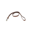 Coastal Pet Circle T Rustic Leather Dog Leash