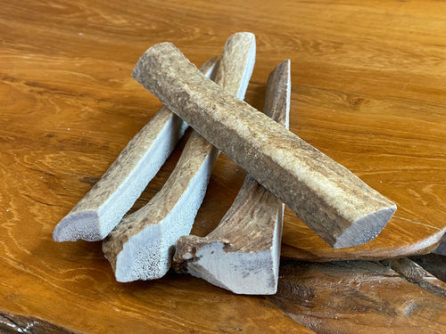 Elk Antler Treat for Dogs