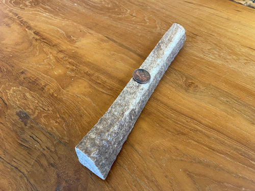 Elk Antler Treat for Dogs