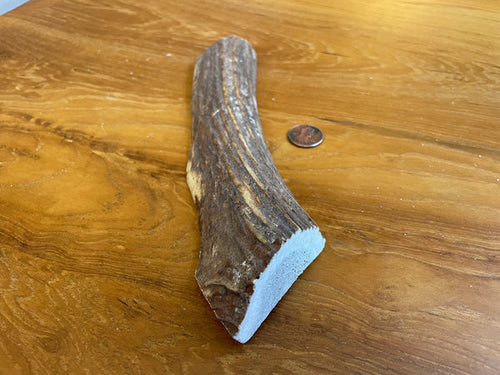 Elk Antler Treat for Dogs