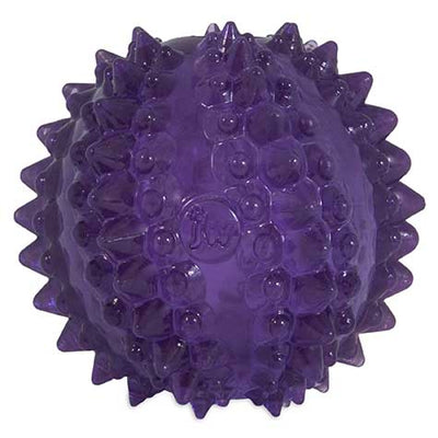 Petmate JW Bristl-ee Cactus Ball Puppy Toy