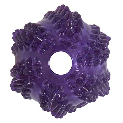 Petmate JW Bristl-ee Cactus Ball Puppy Toy