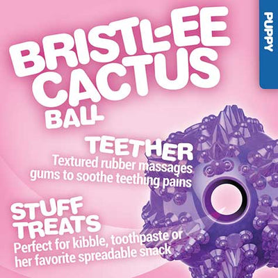 Petmate JW Bristl-ee Cactus Ball Puppy Toy
