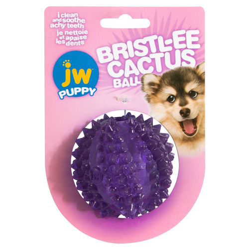 Petmate JW Bristl-ee Cactus Ball Puppy Toy