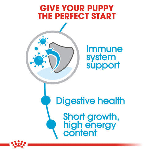 Royal Canin Medium Puppy Dry Dog Food