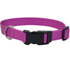 Coastal Adjustable Dog Collar with Plastic Buckle