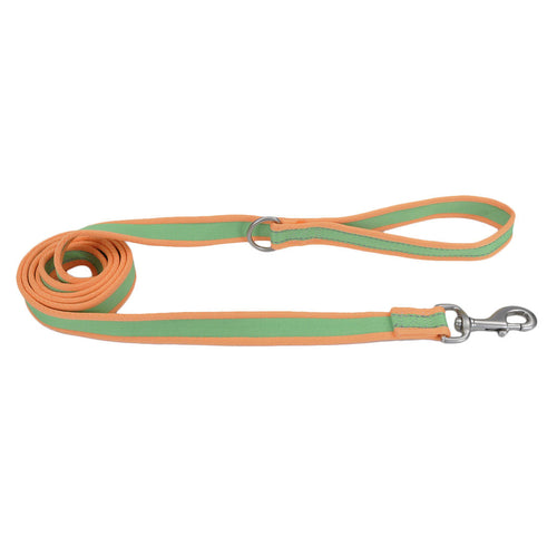 Coastal Pet Products Pro Reflective Dog Leash