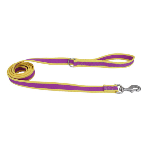 Coastal Pet Pro Reflective Dog Leash