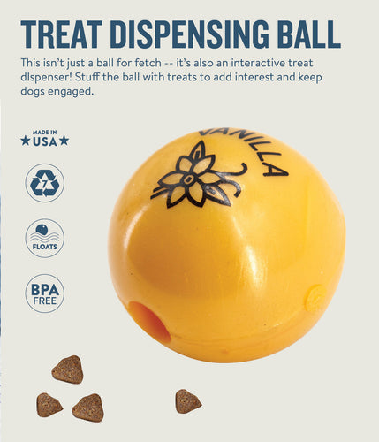 Outward Hound Orbee-Tuff Essentials Interactive Dog Ball